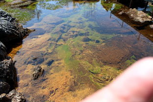 五大连池世界地质公园