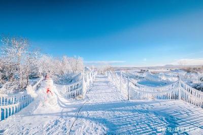 游览 黑龙江省 黑河 五大连池市 温泊 冬日雪景