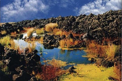 【五大连池黑河天气预报】五大连池黑河天气预报一周_五大连池黑河天气预报3天、7天、10天、15天、30天、40天查询