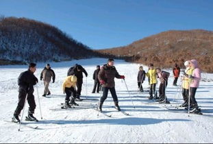 五大连池有村庄吗