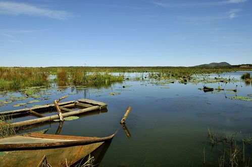 黑龙江省五大连池市