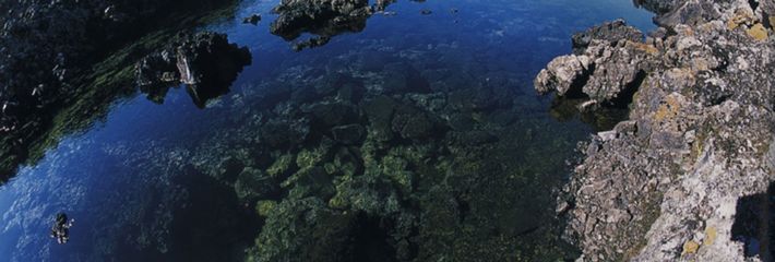 【2020】五大连池旅游攻略_五大连池自助游攻略_五大连池出游行程游记-途牛攻略