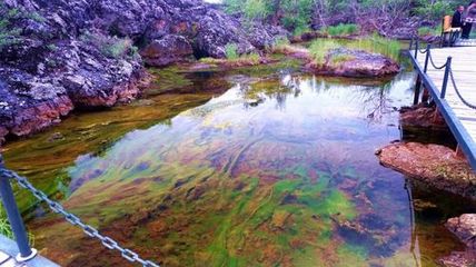 黑龙江五大连池二日游【(纯玩)往返车费+用餐+四大景点】线路推荐【携程玩乐】