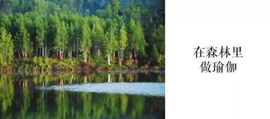 壮游黑龙江丨寻找黑龙江夏季壮游体验官