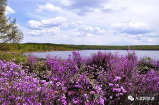 莫负好春光 龙江春季旅游正当时