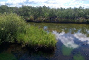 哈尔滨与五大连池8日亲子休闲游 火山奇景与冰雪乐趣的完美融合