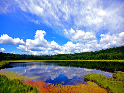 北国风光全景环线 长春至阿尔山12日深度跟团游
