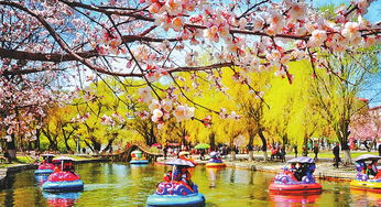 赏花观鸟登山季 北国之春孕生机，五大连池的自然盛宴