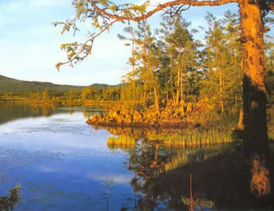 走马五大连池 火山遗迹与自然奇观的交融之旅