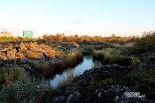 行走五大连池04 北饮泉，火山与生命的馈赠