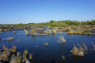 大东北环游7600公里之六 从五大连池黑黑的火山口到小兴安岭森森的红松林