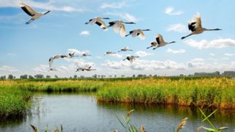 五大连池 2018黑龙江夏季微度假小产品在广东亮相，邀您共赴大森林里的小夏天