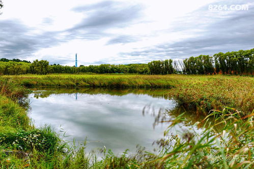 五大连池 一场不期而遇的地质奇缘