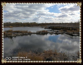 黑龙江五大连池 温泊碧水映火山，圣水奇观连天池