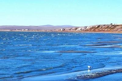 黑蒙环游记 从海滨青岛到北国草原的九天奇幻之旅