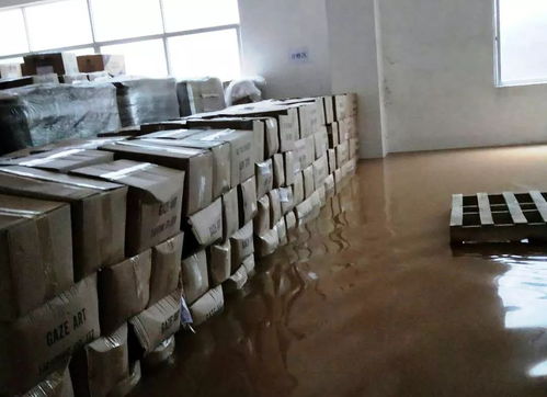 直击 狂风骤雨不歇,鼎和为您守护